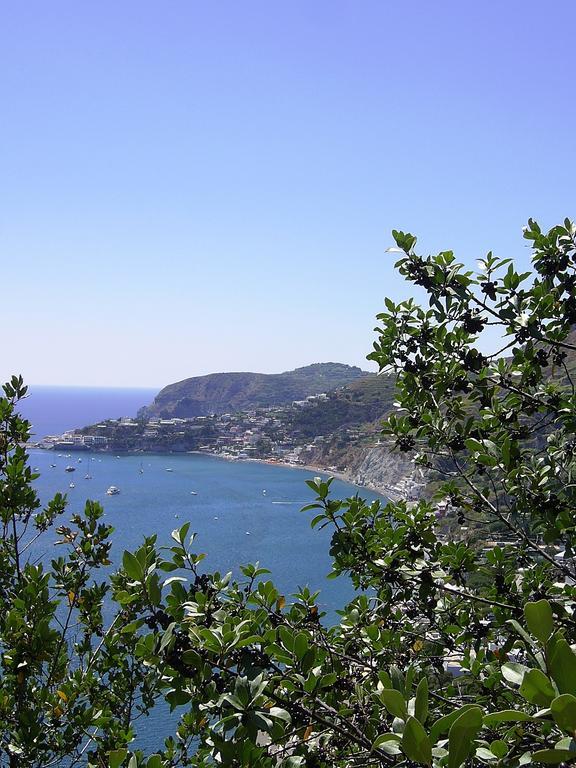 Hotel San Giovanni Terme Ischia Eksteriør bilde